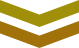 Ǯ
